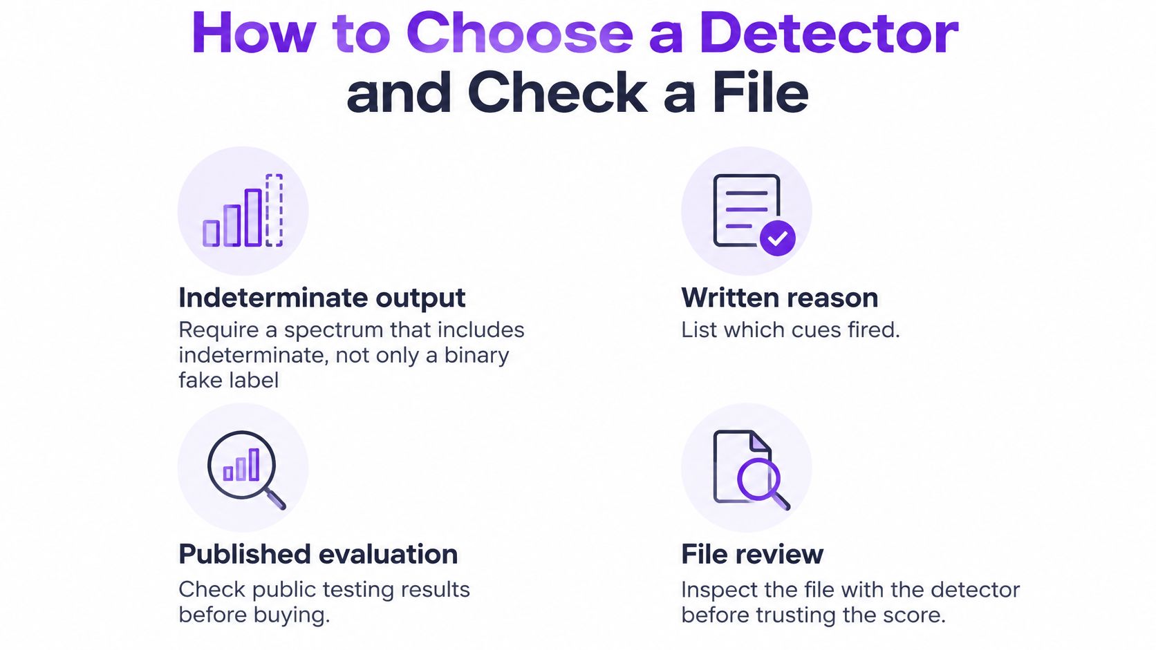 An infographic titled How to Choose a Detector and Check a File listing four key guidelines.