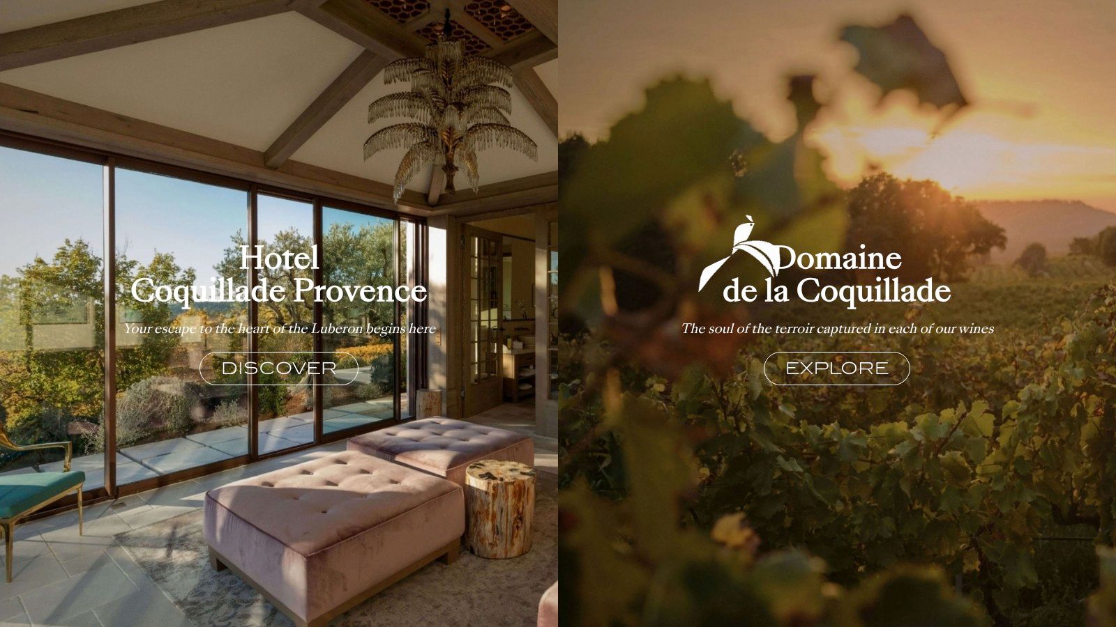 atypical-accommodation-paca-luxury-vineyard.jpg