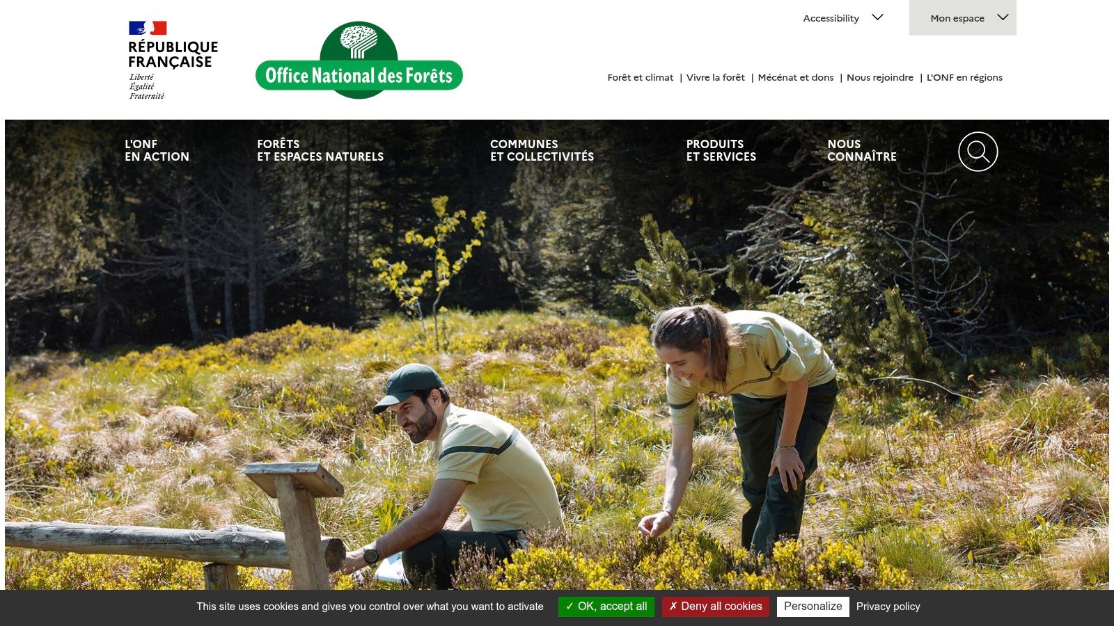 chestnut-forest-near-me-forestry-agents.jpg