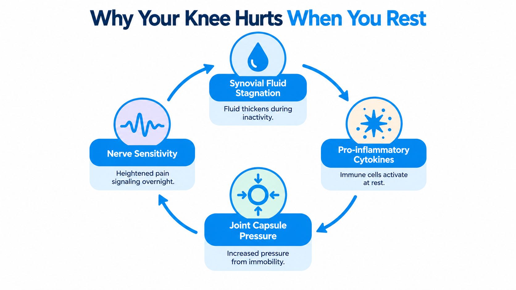 An infographic showing a cycle of four factors causing knee pain when resting, including fluid, cytokines, pressure, and nerves.