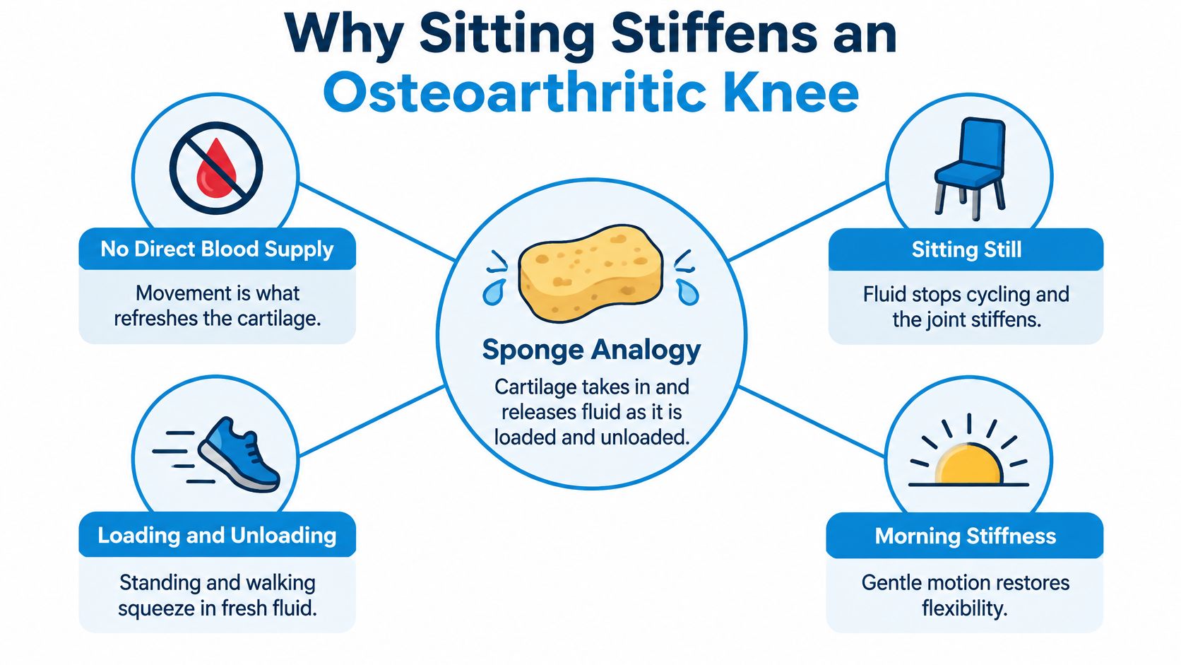 A diagram explaining why sitting causes stiffness in an osteoarthritic knee using a sponge analogy for fluid cycling.