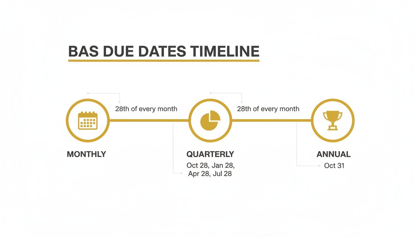 Timeline Bas BAS Due Dates 2025: Stay Compliant This Year