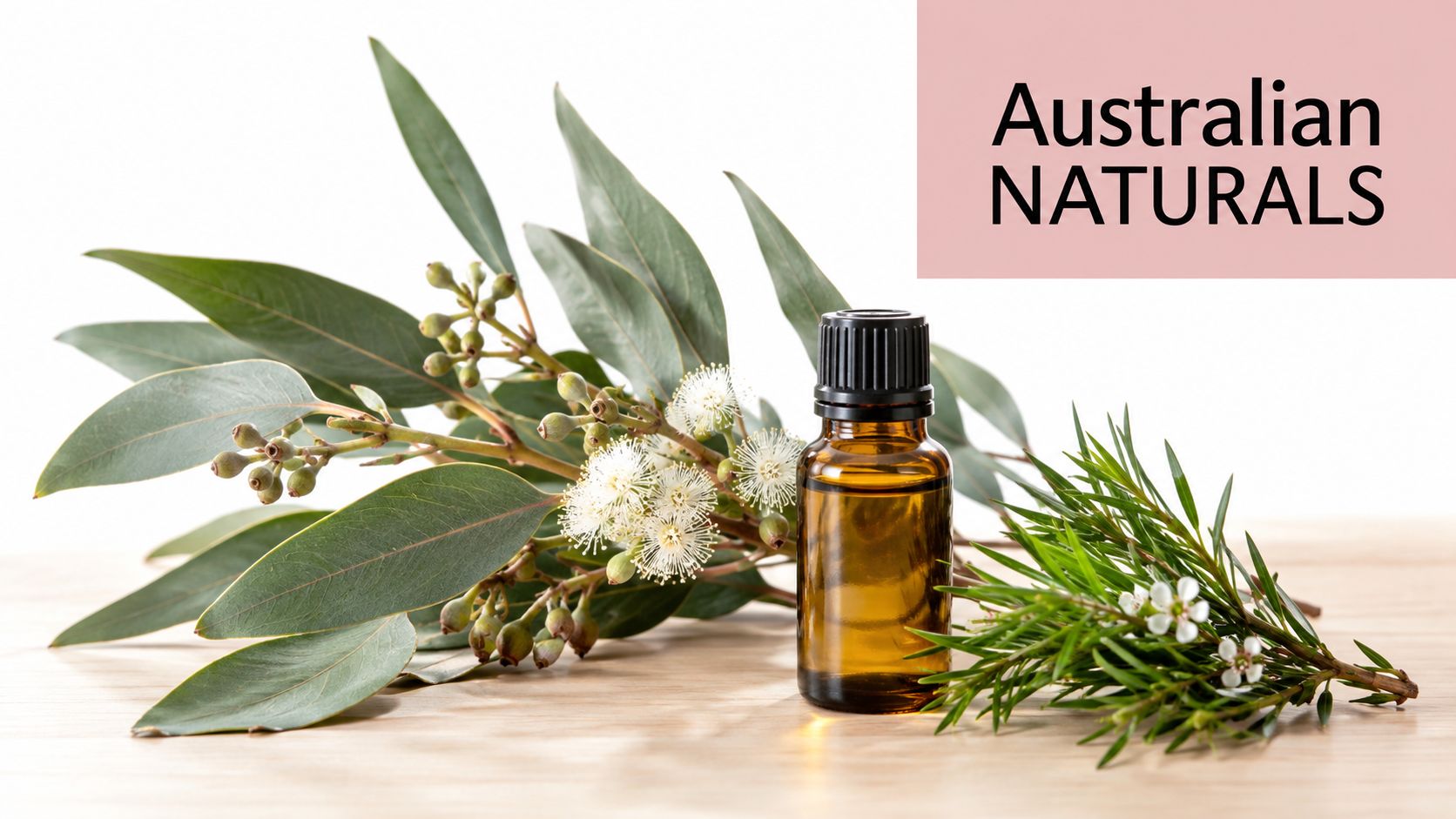 A glass bottle of essential oil next to Australian eucalyptus leaves and tea tree branches.