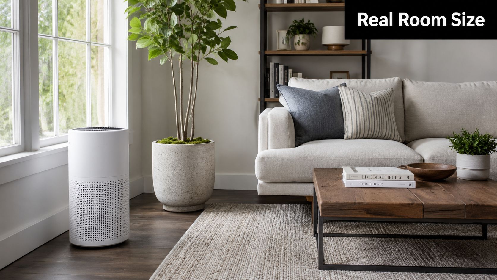A modern white air purifier placed in a cozy, sunlit living room next to a potted plant.