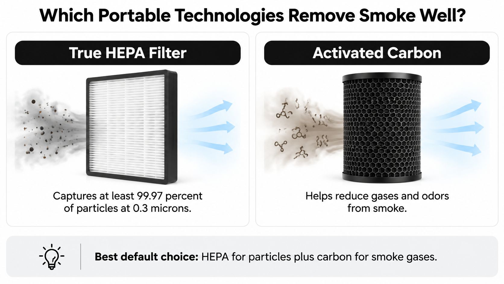 An infographic comparing True HEPA filters for particles and Activated Carbon for smoke gases and odors.