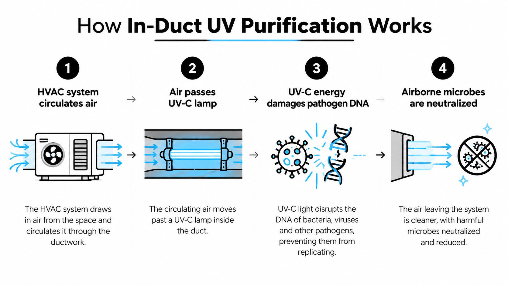 A four-step infographic illustrating how in-duct UV-C light systems purify air by neutralizing airborne pathogens.