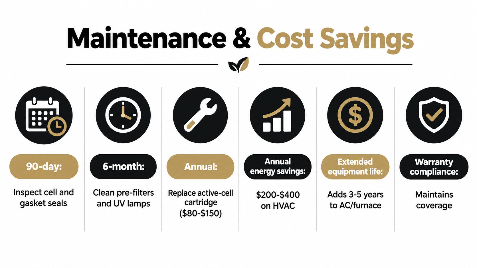 An infographic detailing a maintenance schedule and cost savings for a whole house air purifier system.