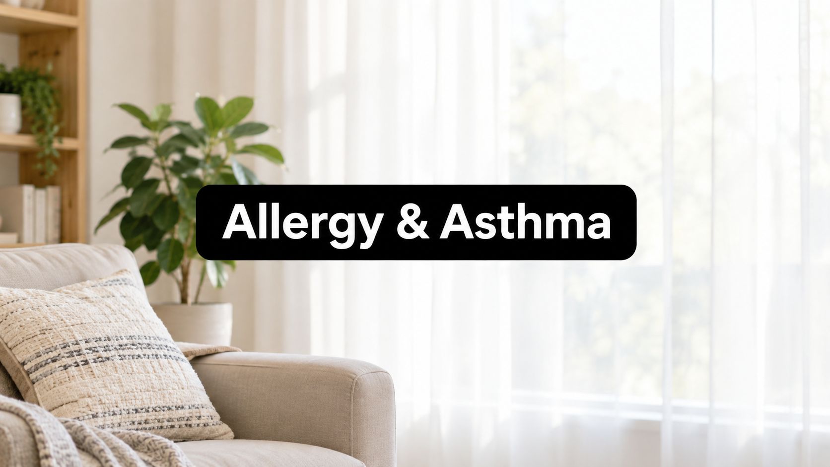 Can Allergies Cause Asthma? a Practical Guide